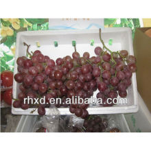 Uvas vermelhas frescas fazenda uva vermelha fresca